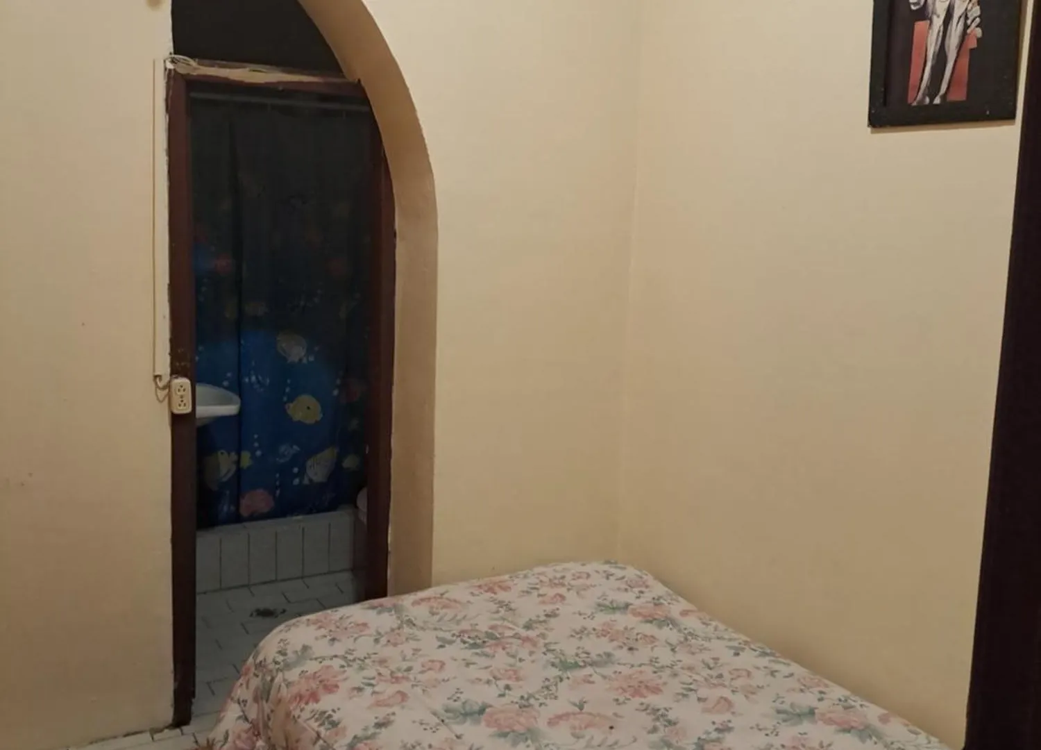 招待所 Dreams Hostal 基多